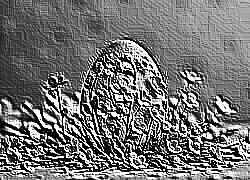 Skamielina