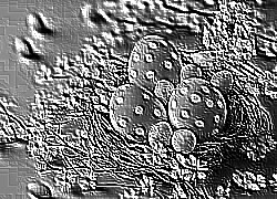 Skamielina