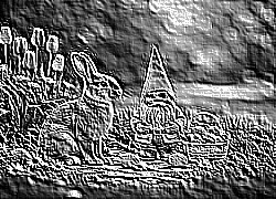 Skamielina