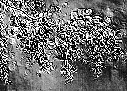 Skamielina