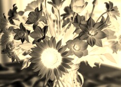 Sepia + Negatyw