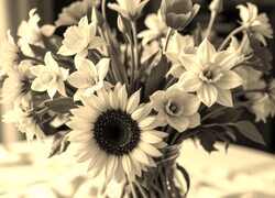 Szary + Sepia