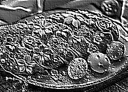 Skamielina