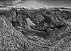 Skamielina