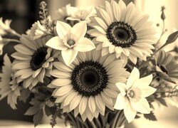 Szary + Sepia