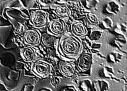 Skamielina