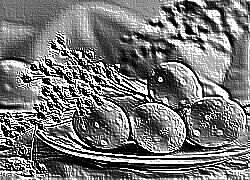 Skamielina