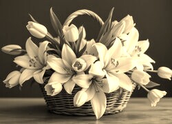 Sepia