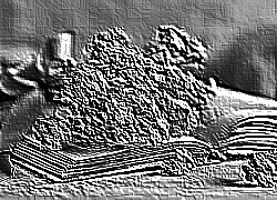 Skamielina