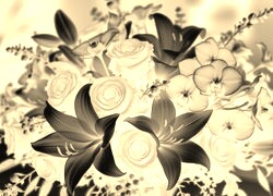 Sepia + Negatyw