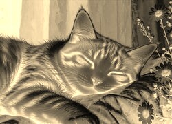 Sepia + Negatyw