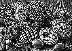 Skamielina
