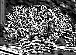 Skamielina