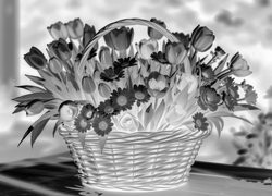 Szary + Negatyw