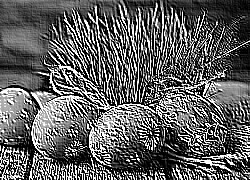 Skamielina