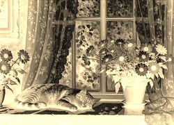 Sepia + Negatyw