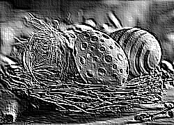 Skamielina