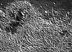 Skamielina
