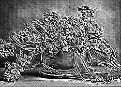 Skamielina
