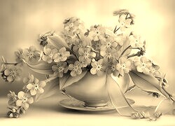 Szary + Sepia