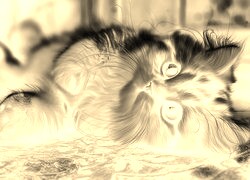 Sepia + Negatyw