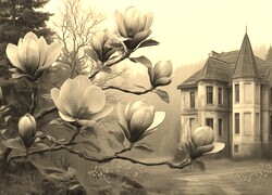 Szary + Sepia