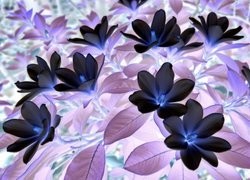 Negatyw