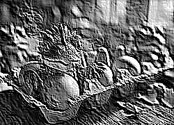 Skamielina