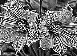 Skamielina