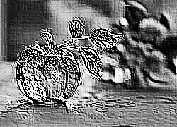 Skamielina
