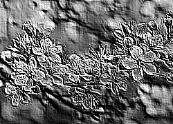 Skamielina