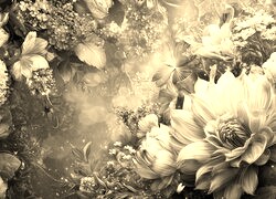 Szary + Sepia