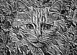 Skamielina