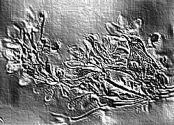 Skamielina
