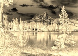 Sepia + Negatyw