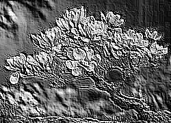 Skamielina