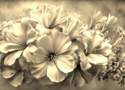 Szary + Sepia