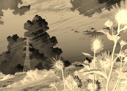 Sepia + Negatyw