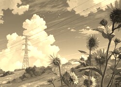 Szary + Sepia
