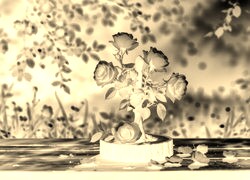Sepia + Negatyw