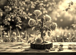 Sepia