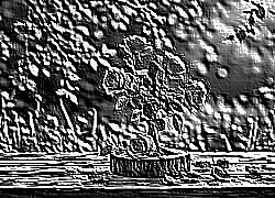 Skamielina