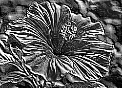 Skamielina