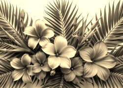 Szary + Sepia