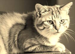 Sepia