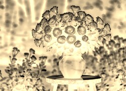 Sepia + Negatyw