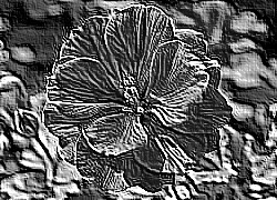 Skamielina