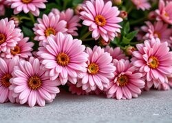 Oryginalny obrazek