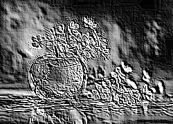 Skamielina