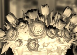 Sepia + Negatyw
